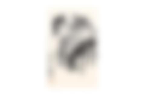 Study of donkeys (preview)