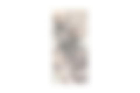 Landscape (preview)
