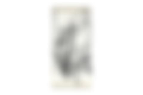 Prunus (preview)