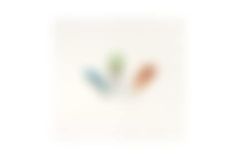 A CHINESE EXPORT PAINTING OF FEATHERS (preview)