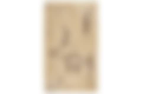 Studies of figures (preview)