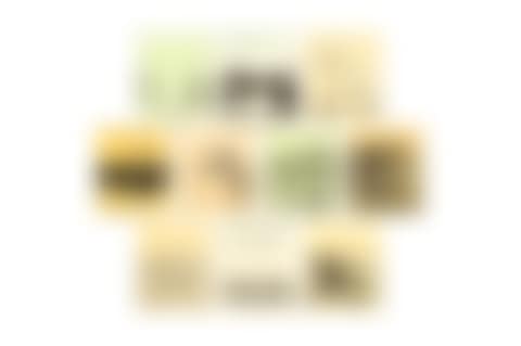 Polymorphoses (preview)