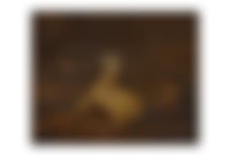 A horse frightened by lighting (preview)