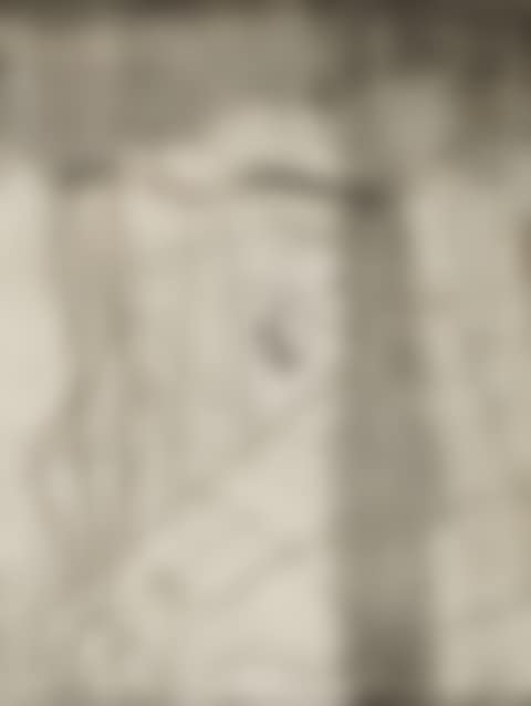 Astyanax (preview)
