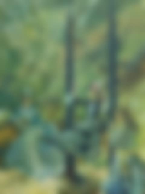 Victorian Diversions (preview)