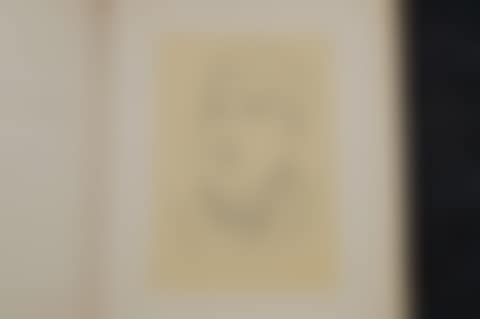 Apollinaire, by André Rouveyre (preview)