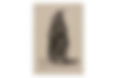 Mulier Coloniensis (preview)