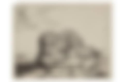 Leopard (preview)