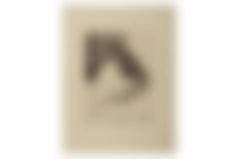 Jack Ashore (preview)