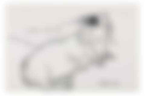 Little Boodge (preview)
