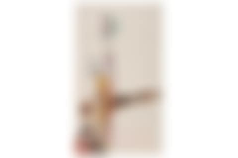 Still life with swords (preview)