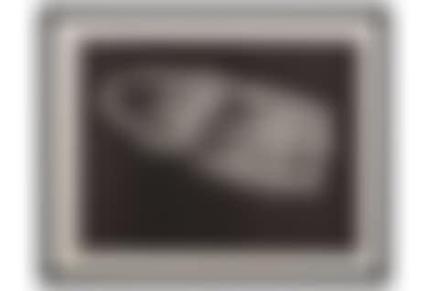 Aggregation boat (preview)