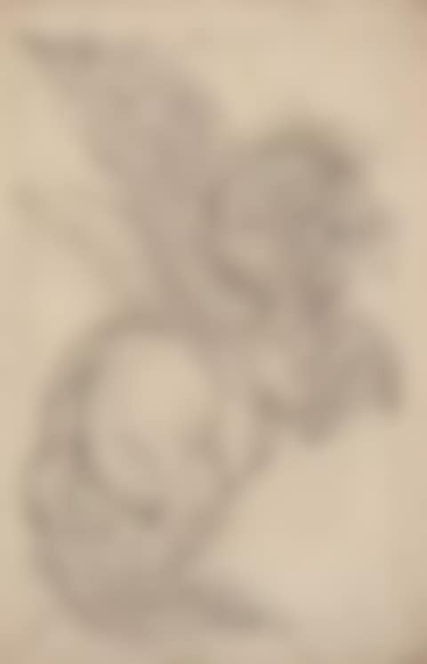 Pegasus (preview)