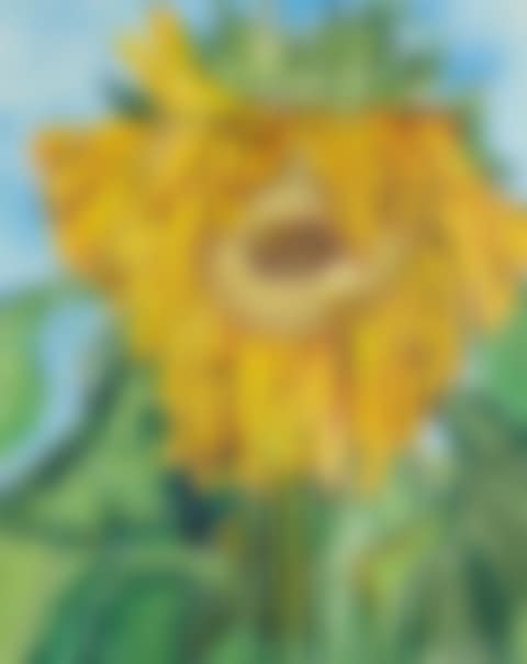 Sunflower (preview)