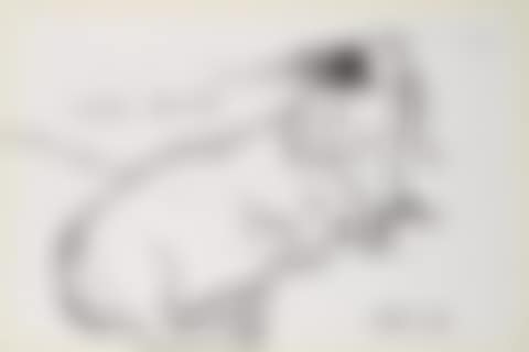Little Boodge (preview)