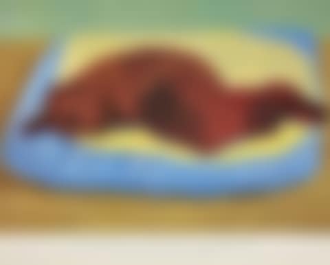 Dog 43 (preview)