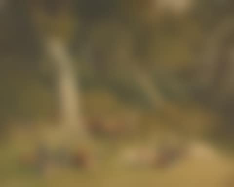 Stags in a parkland landscape (preview)