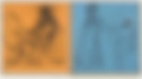 The Twelve Apostles: Mark and Thomas [Field 72-14] (preview)