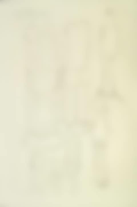 Untitled (14.1.56.) (preview)