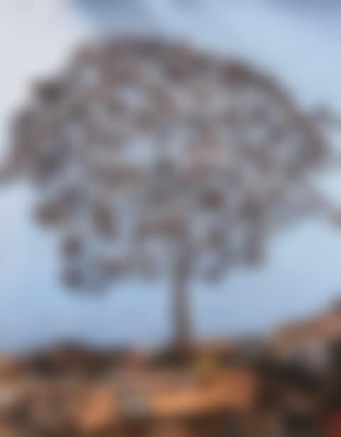 The Tree (Pictures of Junk) (preview)
