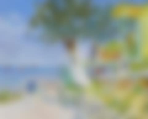 The Olive Tree, Skala Sotiros (preview)