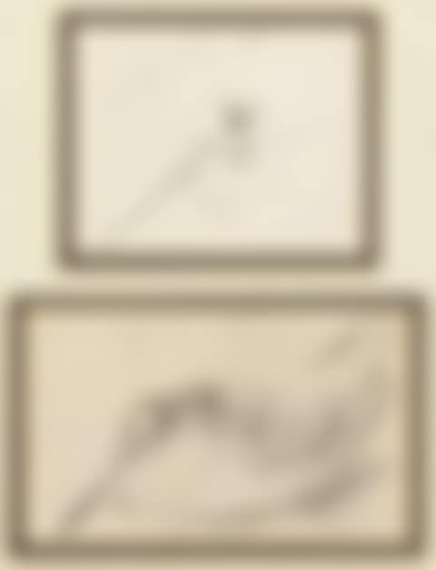 Two sketches of a woodcock (preview)