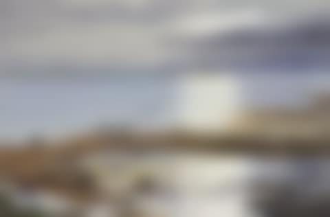 Wigeon flying over a lake (preview)