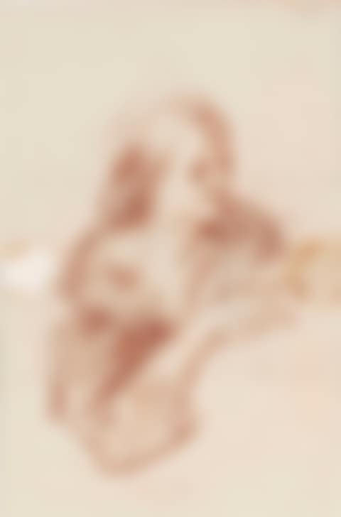 Study of a woman, half-length (preview)