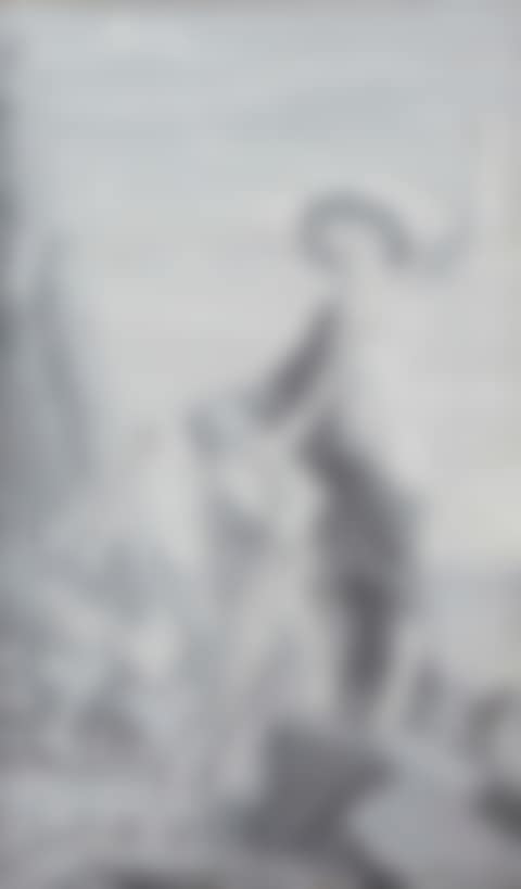 Neptune and a woman with child on a rocky shore (preview)