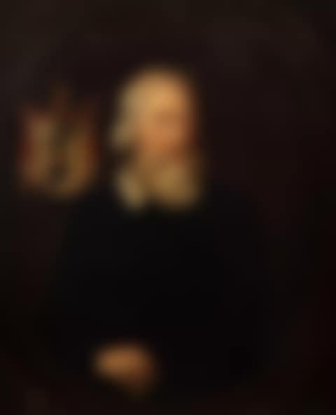Portrait of Sir Thomas Gascoigne, 2nd Bt, half-length (preview)