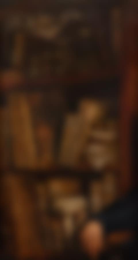 The bookshelves (preview)