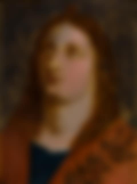 Portrait of a man, head and shoulders, wearing a red cloak, turned to the left (preview)