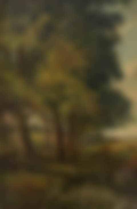 Cattle grazing by an avenue of trees (preview)