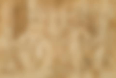 The Adoration of the Magi (preview)