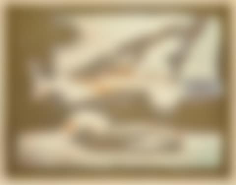 Kent State (preview)