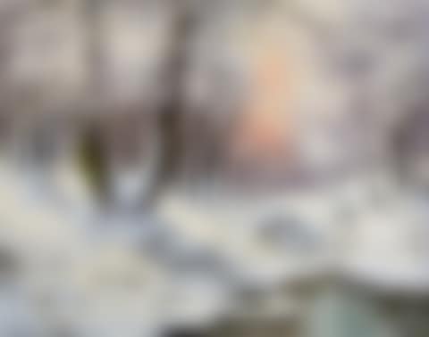 Winter woodland landscape (preview)
