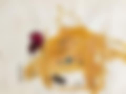 This is the most protection i will ever have...don't forget it (preview)