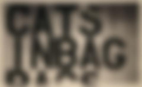 Cats in Bag (preview)