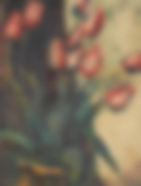 Tulips in a vase (preview)