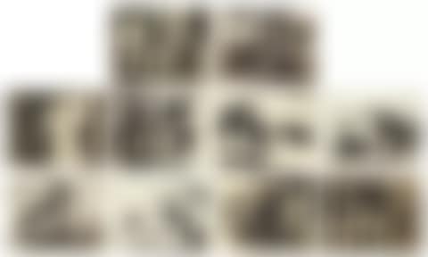 Toros (preview)