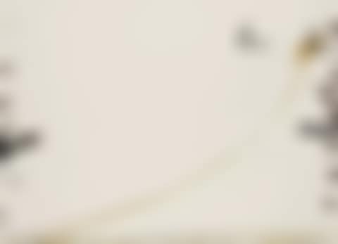 Dib 1 (preview)