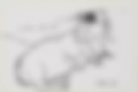 Little Boodge (preview)