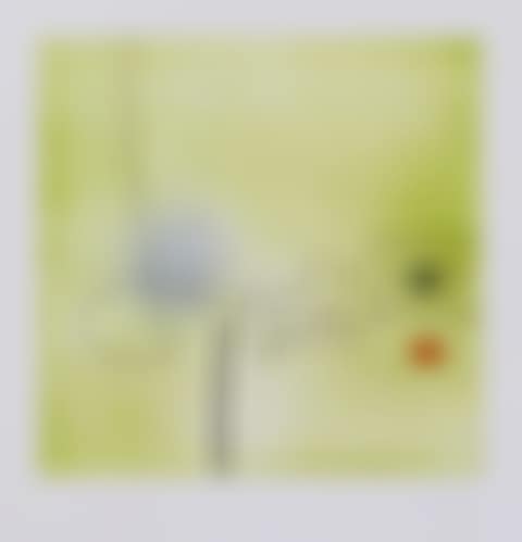 Images on the Wall (preview)