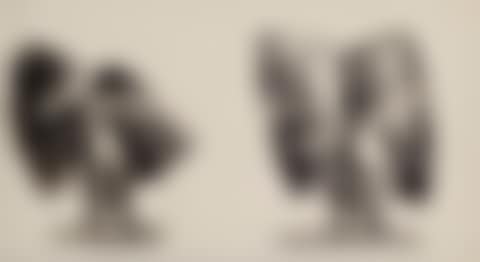 Untitled (2248 & 276) (preview)