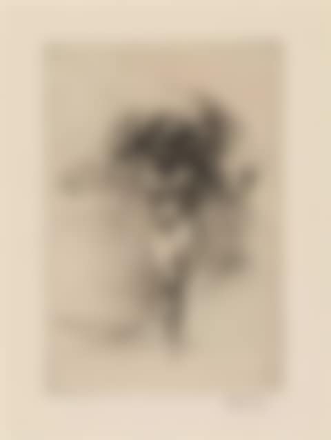 Spring  (preview)