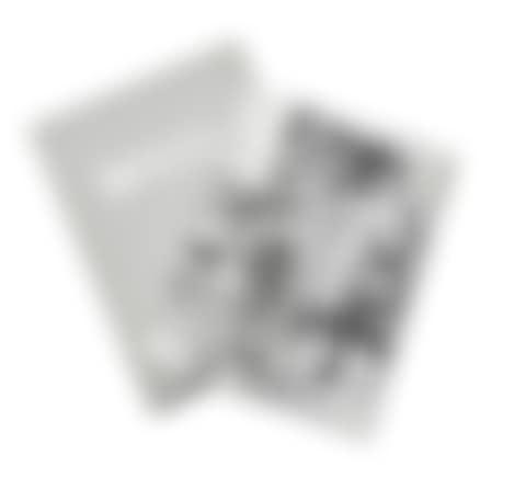 Christopher Wool Collector's Edition (preview)