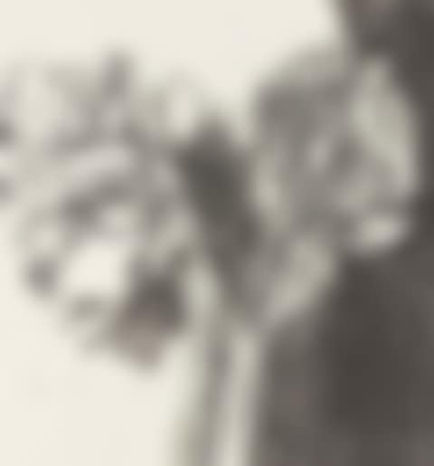 Entrada Drive (preview)
