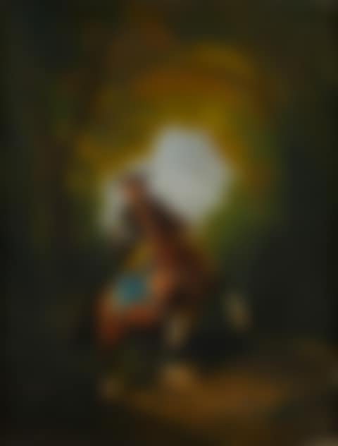 Woman riding a rearing horse in a wooded landscape (preview)