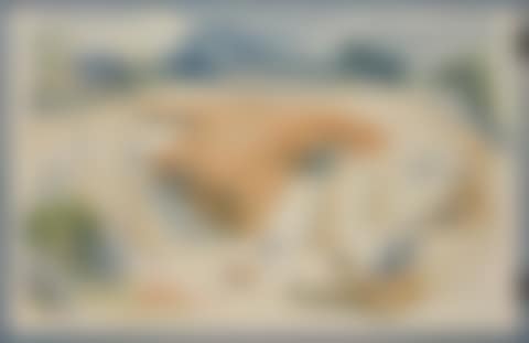 Harvesting, Ships in Sete, Drifter and Steamers and Mandrills and Mangabeys (preview)