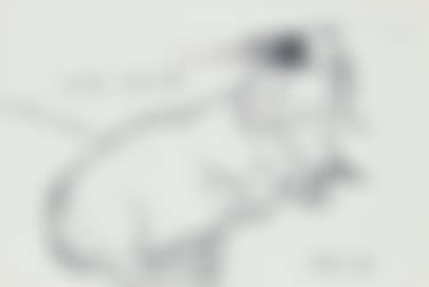 Little Boodge (preview)